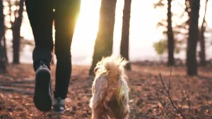 Holistic healing for grieving pets